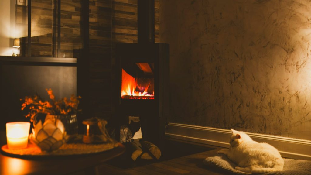 a cat sitting on a pillow in front of a fireplace